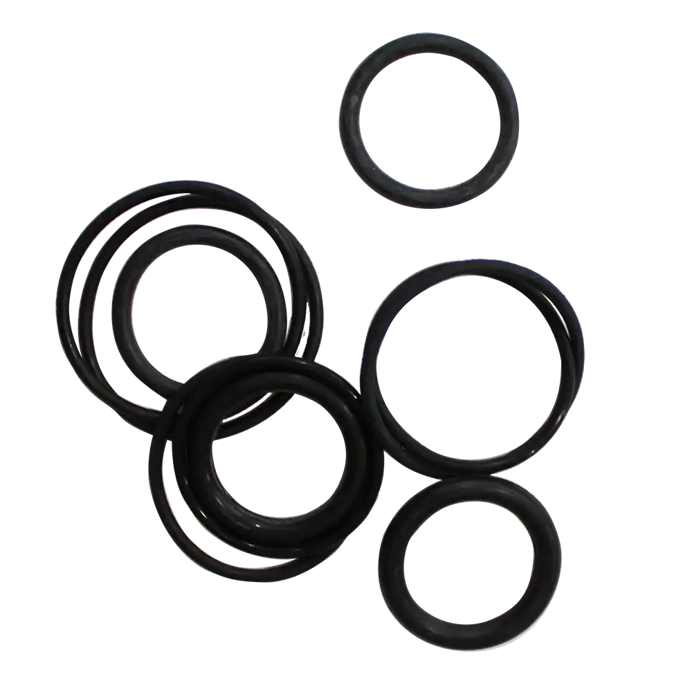 O Ring Kit Large Assorted Pack of 10