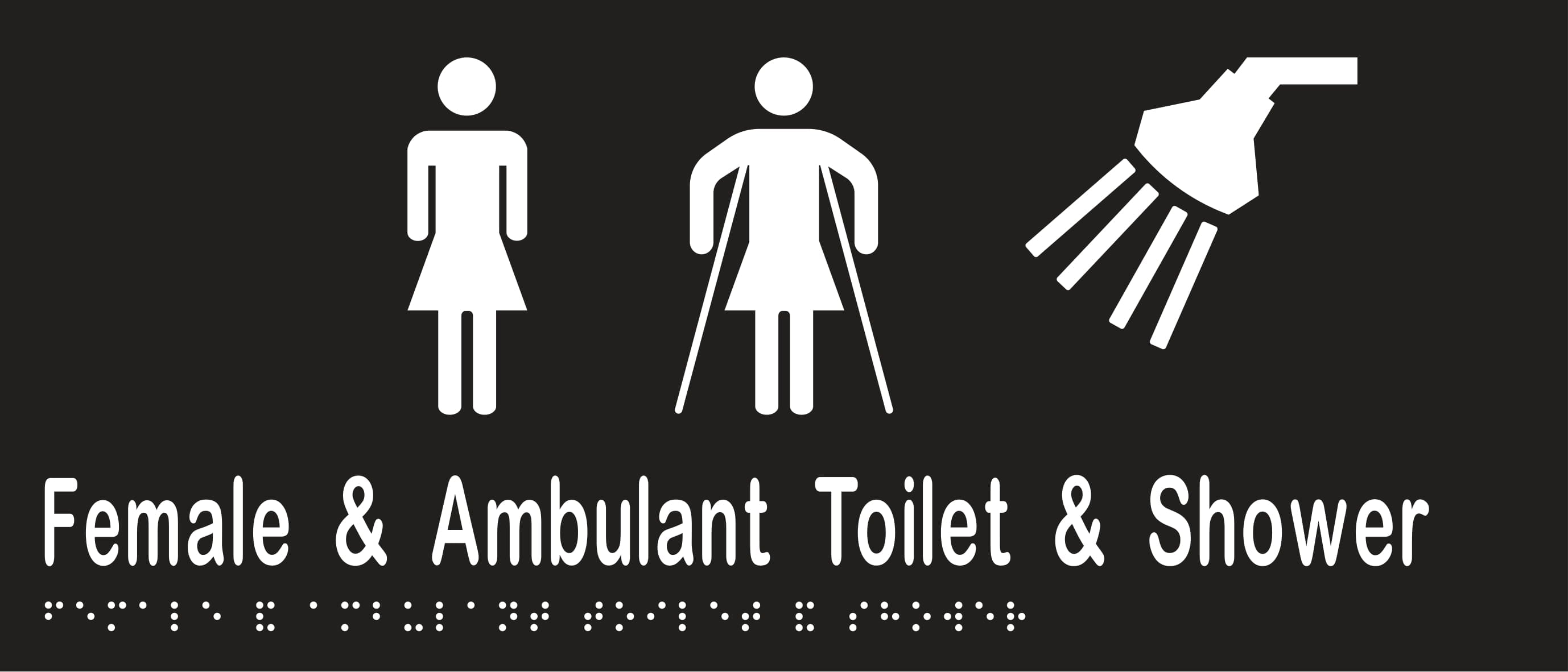 Female & Ambulant Toilet & Shower 350mmW x 150mmH