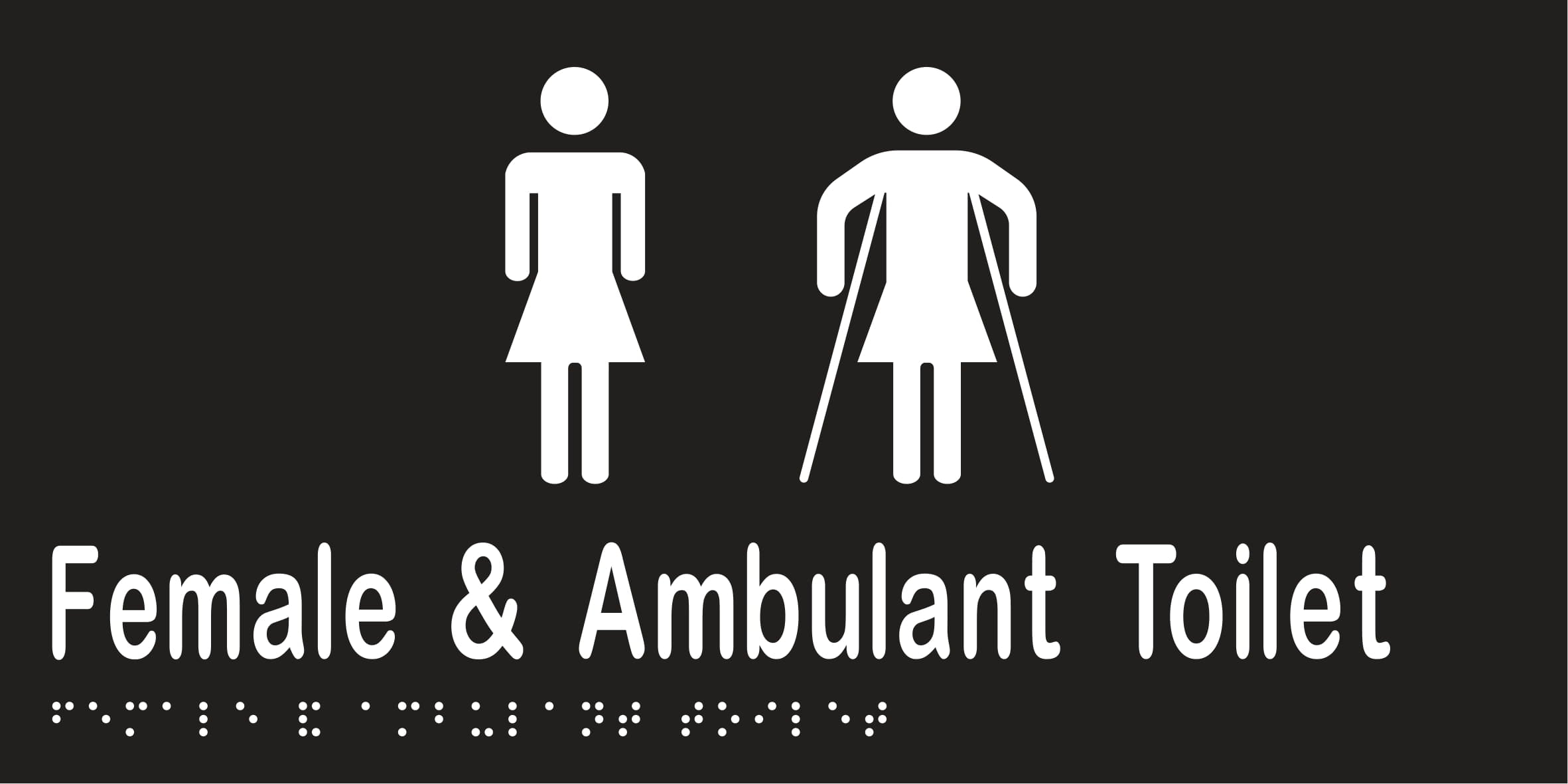Female & Ambulant Toilet Braille 300mmW x 150mmH
