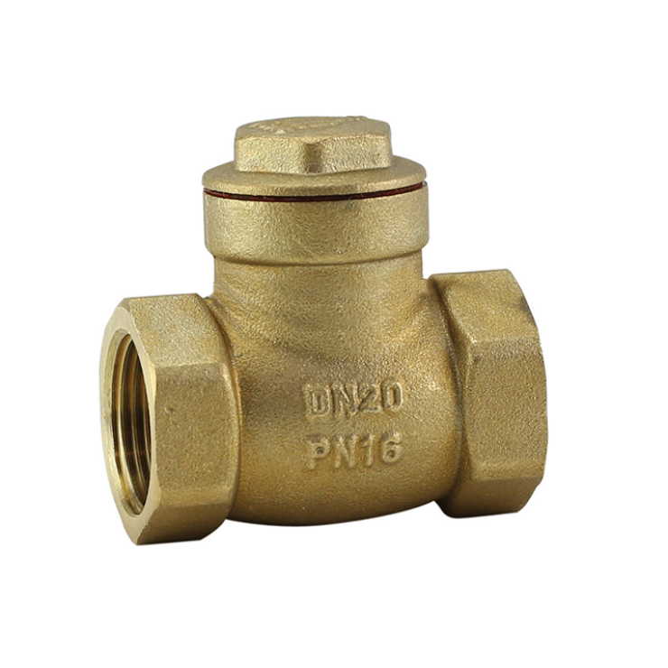 Swing Check Valves