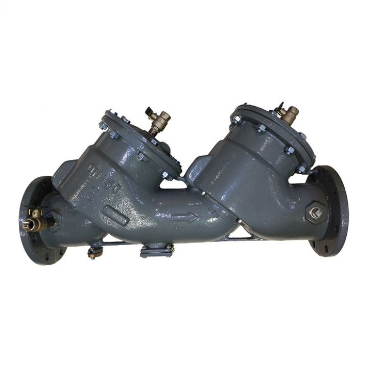 Febco 850 DCV Large – With Geared butterfly valves and strainer