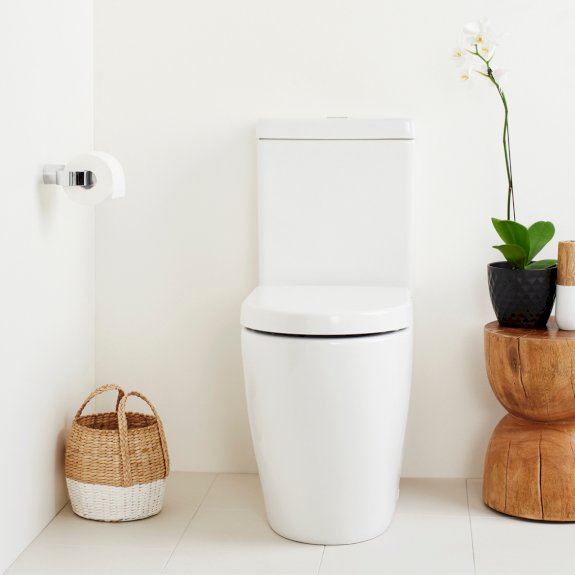 Back To Wall Toilets