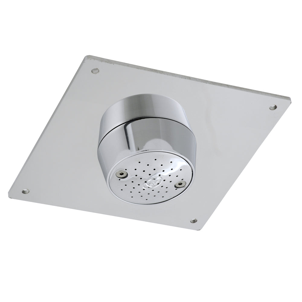 GalvinCare® CP-BS Lead Safe™ Mental Health Anti-Ligature Ceiling Mtd Shower Rose SS Plate