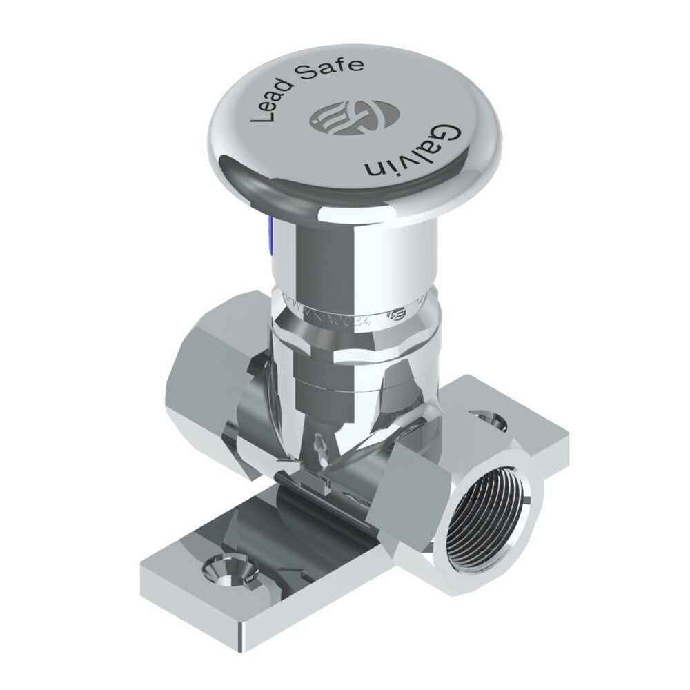 Ezy-Push® CP-BS Lead Safe™ Push Button Foot Valve 90° Mount