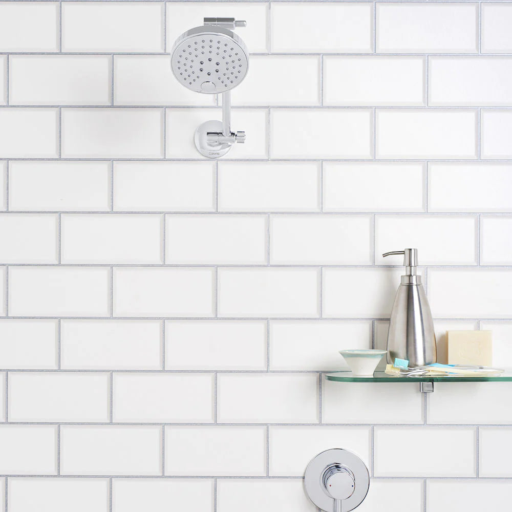 Pin Multifunction Adjustable Wall Shower Chrome