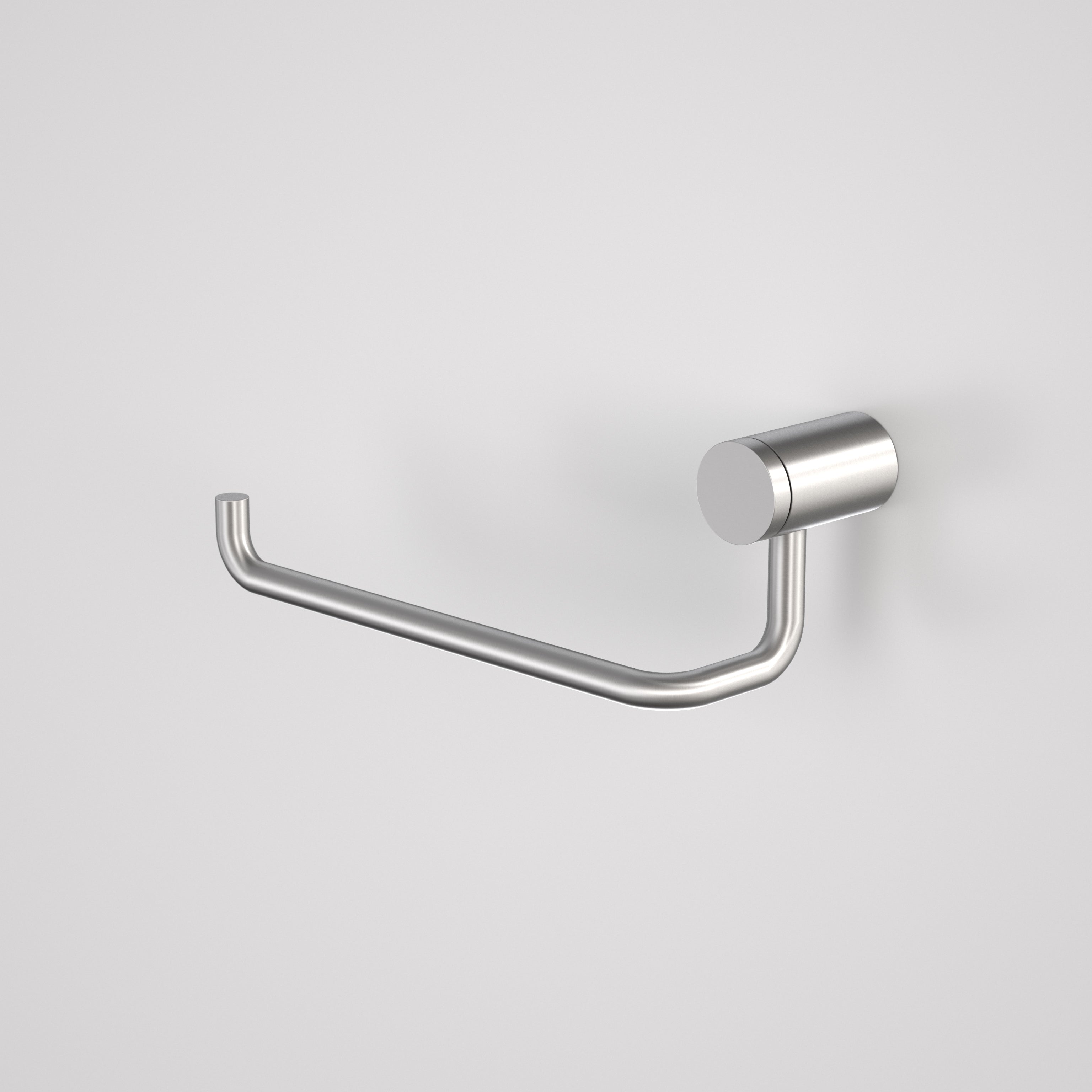 Titan Stainless Steel Toilet Roll Holder