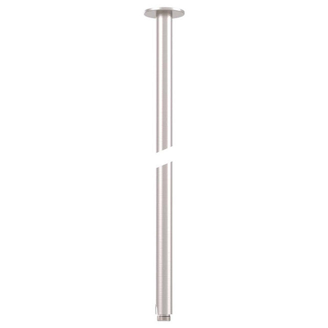 Vertical Arm Brushed Nickel  300mm