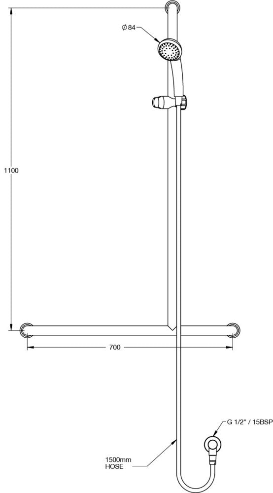 GalvinAssist® Hand Shower with Inverted RH T 700 x 1100 SS Hygienic Grab Rail