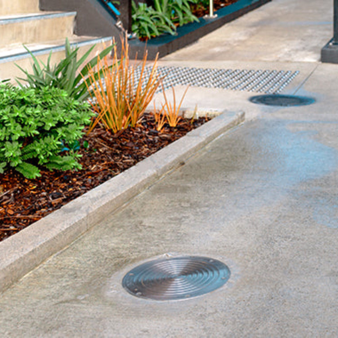 Concrete pathway with a small garden bed featuring plants and a drain cover.