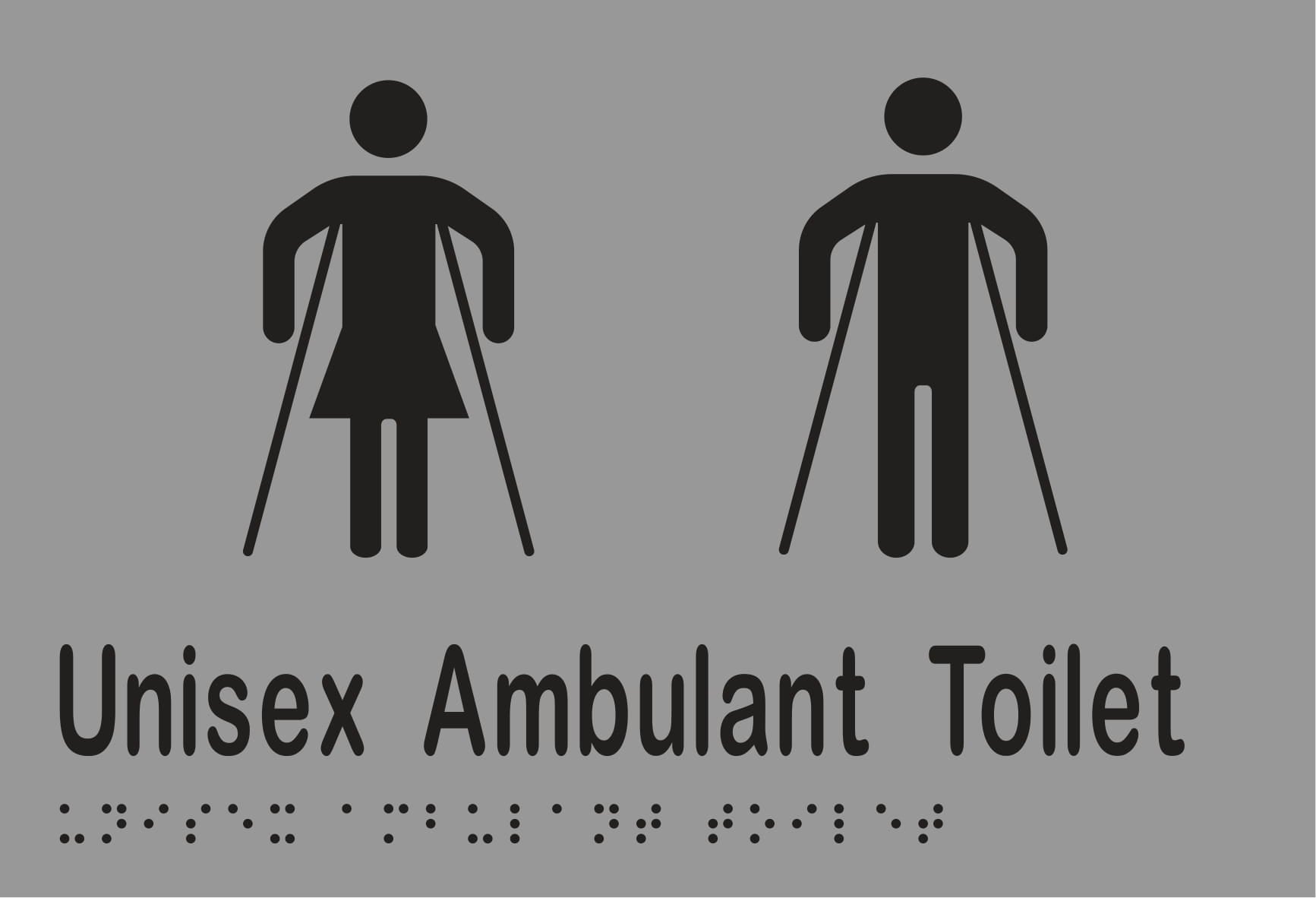 Unisex Ambulant Toilet Braille 220mmW x 150mmH