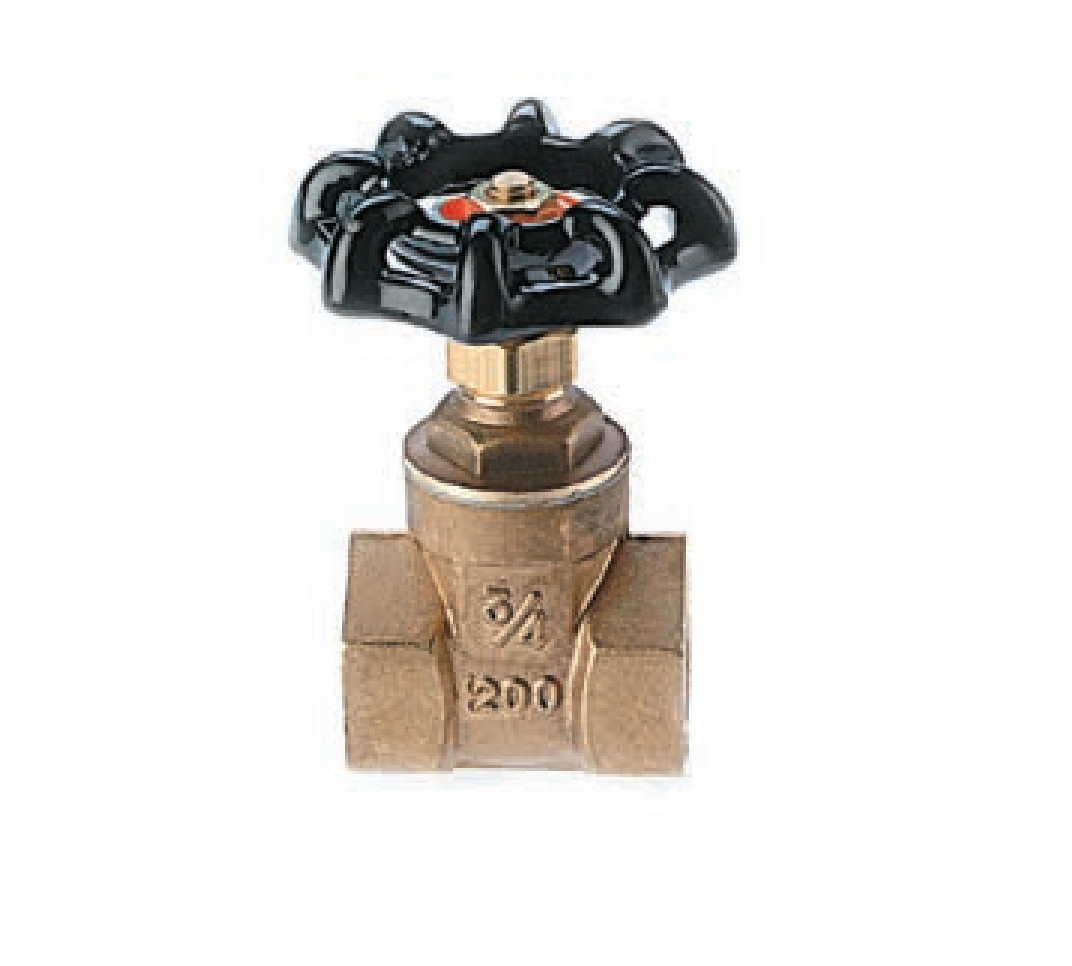 Gate Valve Untested