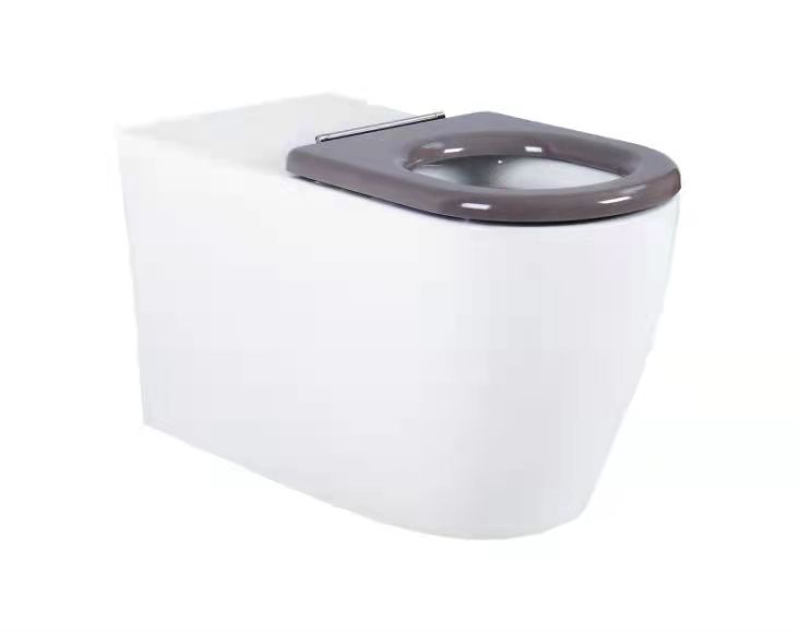 GENTEC STERISAN  In-Wall Wall Faced Toilet Suite w/ Raised buttons and DDA Complaint Grey Single-flap Seat