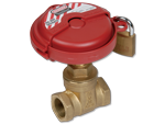 Lockable Gate Valve F&F BSP with Locking Cover - WaterMarked, 15-100mm