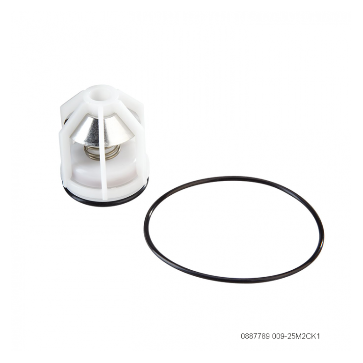 WATTS 25mm M2 009 RPZ Spare Parts