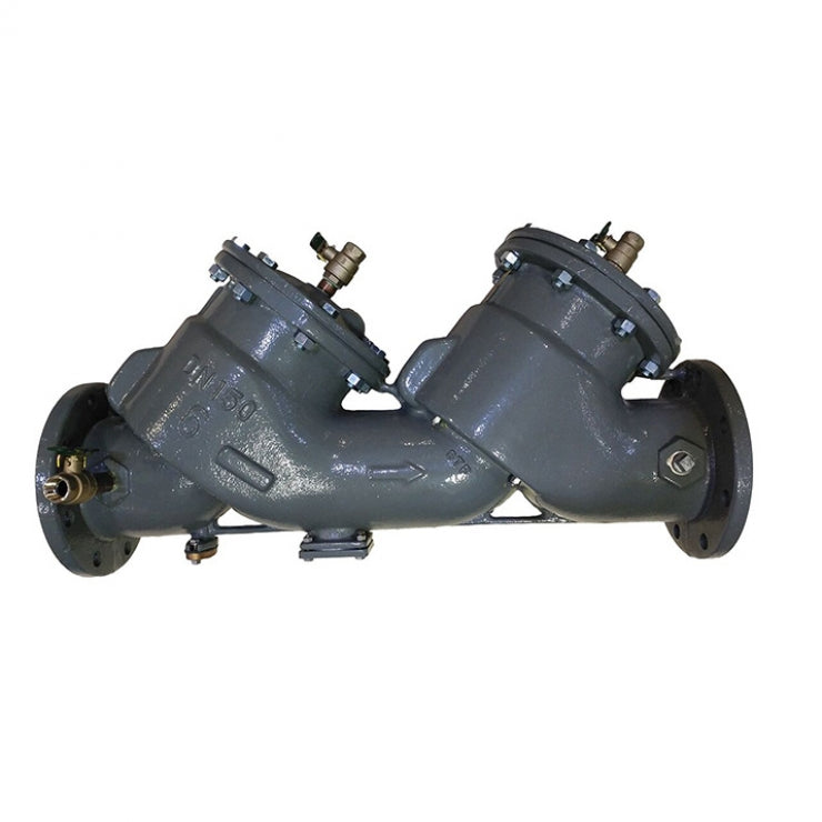 Febco 850 DCV Large – With Lever butterfly valves and strainer